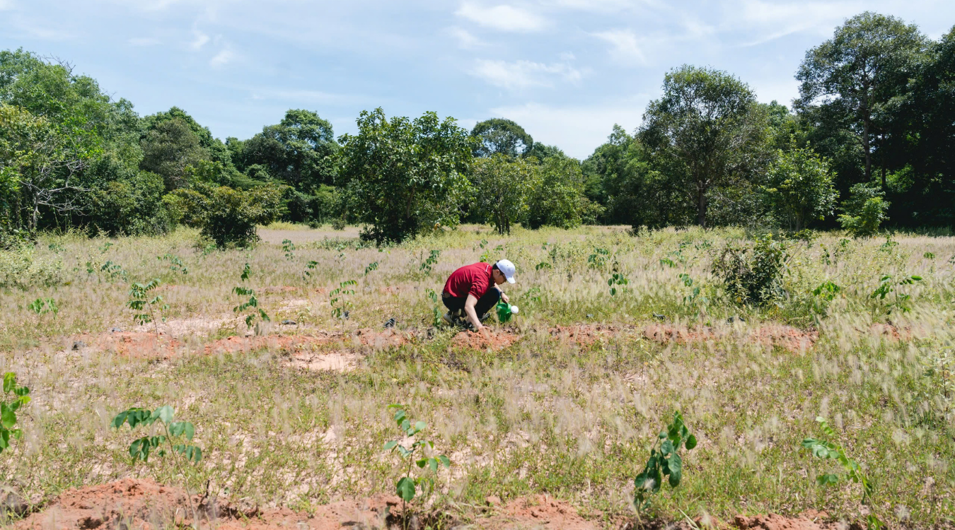 Environmental-Impact