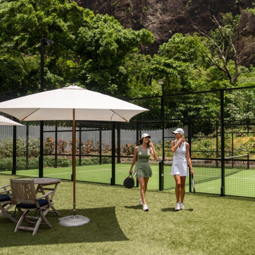 Overview -incentive -2 -mice -2